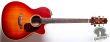 Takamine TDP-75S-CHS, Japan 2015
