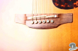 Takamine TDP-75S-CHS, Japan 2015