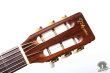 Takamine TSN-500, Japan 2000