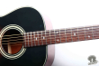 Takamine TSN-500, Japan 2000
